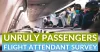 unruly_passengers-afa.png